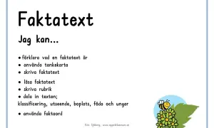 En mall för att skriva faktatext. Lär dig förklara, använda tankekartor och skriva rubriker. En glad bi på blommor.