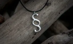 Ett silverhalsband med ett paragraf tecken hänger över en trädstam.