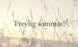 Trevlig sommar! En bild med högt gräs i solnedgången. Vad betyder artig? En trevlig sommar önskar vi alla.