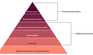 Pyramid som visar hur en artikel kan se ut, från bakgrundsinformation till metaanalyser. Överst filtrerad information, nederst ofiltrerad.