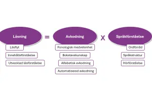 Diagram visar att läsning är avkodning gånger språkförståelse. Vad betyder texta? Det handlar om att avkoda bokstäver och ord för att förstå texten.