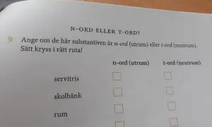 En övning i svenska: avgör om orden "servitris", "skolbänk", "rum" och "pappa" är n-ord (utrum) eller t-ord (neutrum).