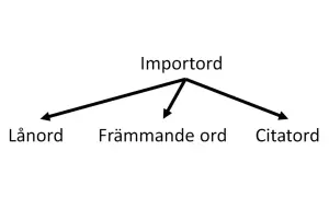 Diagram visar att "Importord" kan delas in i "Lånord", "Främmande ord" och "Citord". Dessa är alla typer av lånord synonymt.
