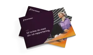En guide från Boardeaserr som heter "Så lyckas du med din vd-rapportering" ligger ovanpå en annan liknande rapport.