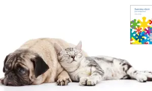 A pug dog and a cat sleeping together, with a book cover featuring colorful shapes.