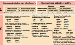 Tabellen visar hur franska adjektiv böjs. Lär dig vad betyder adjektiv och hur de ändras i genus och numerus.