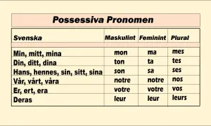 Tabell över possessiva pronomen på svenska, med former för maskulinum, femininum och plural. Här ser vi "Er, ert, era" som motsvarar "votre" och "vos".
