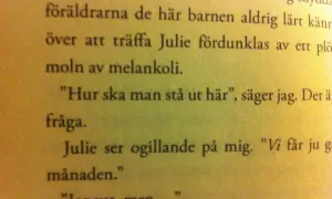 Texten beskriver en känsla av melankoli. "Hur ska man stå ut här", frågar jag. Julie ser ogillande på mig. "Vi får ju gå i månaden." Vad som kommer efter är oklart.