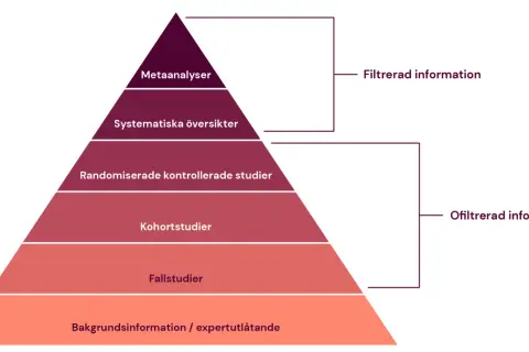 Pyramid som visar hur en artikel kan se ut, från bakgrundsinformation till metaanalyser. Överst filtrerad information, nederst ofiltrerad.