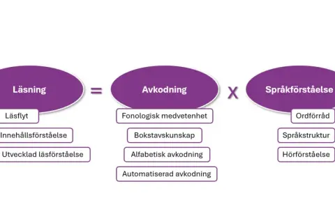 Diagram visar att läsning är avkodning gånger språkförståelse. Vad betyder texta? Det handlar om att avkoda bokstäver och ord för att förstå texten.