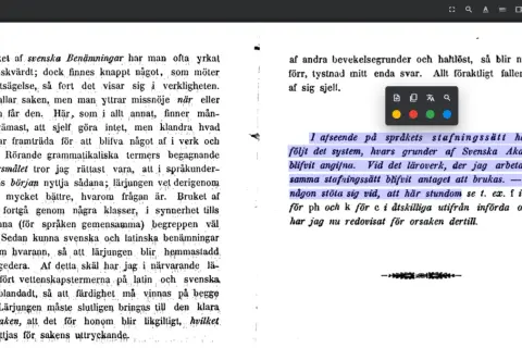 En liten uppsats om svensk språklära, med fokus på stavningssystemet och dess grunder.