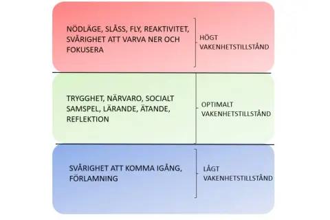 Diagrammet visar tre nivåer av vakenhetstillstånd: högt (nödläge, svårt att fokusera), optimalt (trygghet, närvaro, lärande) och lågt (svårt att komma igång, förlamning).