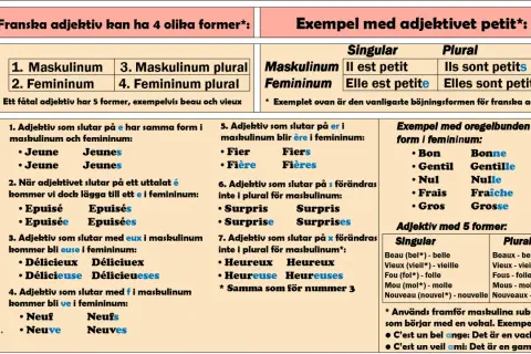 Tabellen visar hur franska adjektiv böjs. Lär dig vad betyder adjektiv och hur de ändras i genus och numerus.