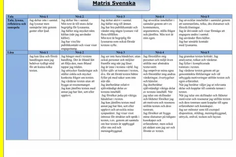 Matris med olika skrivtecken som beskriver nivåer av kommunikation och läsförståelse.