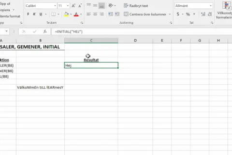 Excel-ark visar funktioner för att hantera text. Här ser vi hur man kan använda VERSALER, GEMENER och INITIAL för att ändra textens format.