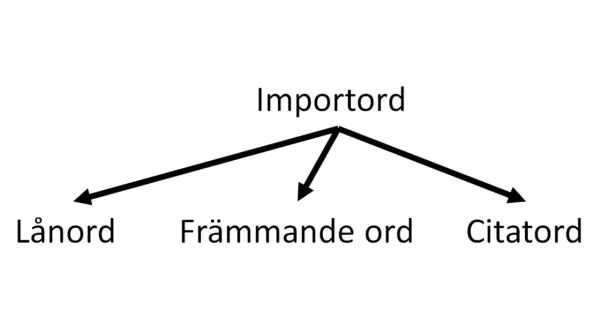 Diagram visar att "Importord" kan delas in i "Lånord", "Främmande ord" och "Citord". Dessa är alla typer av lånord synonymt.