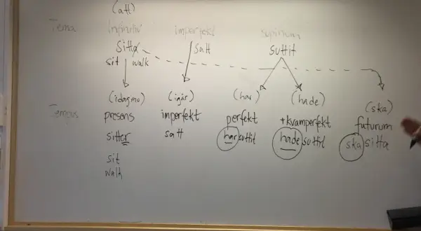 En whiteboard visar verbets tempus för "sitta". Olika former som infinitiv, imperfekt och futurum listas.