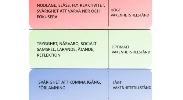 Diagrammet visar tre nivåer av vakenhetstillstånd: högt (nödläge, svårt att fokusera), optimalt (trygghet, närvaro, lärande) och lågt (svårt att komma igång, förlamning).