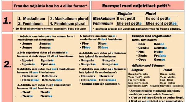 Tabellen visar hur franska adjektiv böjs. Lär dig vad betyder adjektiv och hur de ändras i genus och numerus.