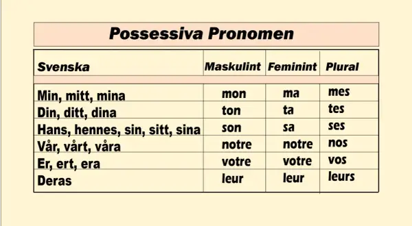 Tabell över possessiva pronomen på svenska, med former för maskulinum, femininum och plural. Här ser vi "Er, ert, era" som motsvarar "votre" och "vos".