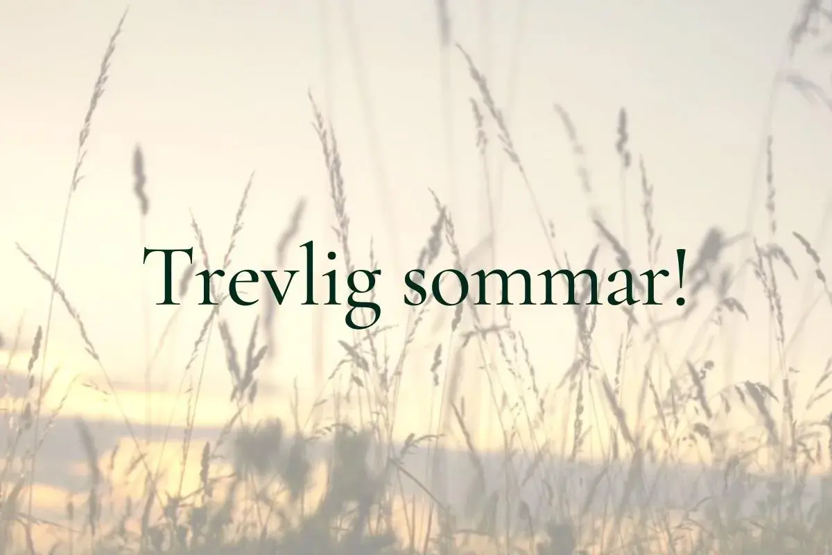 Trevlig sommar! En bild med högt gräs i solnedgången. Vad betyder artig? En trevlig sommar önskar vi alla.