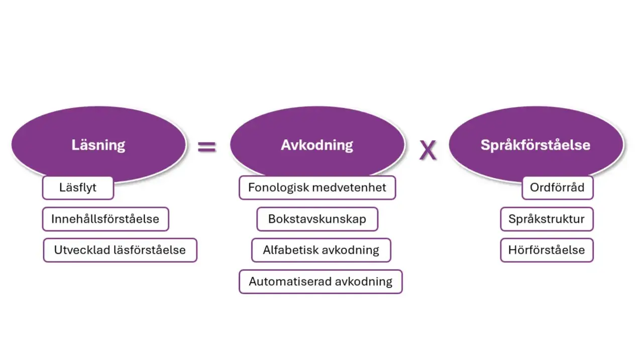 Diagram visar att läsning är avkodning gånger språkförståelse. Vad betyder texta? Det handlar om att avkoda bokstäver och ord för att förstå texten.