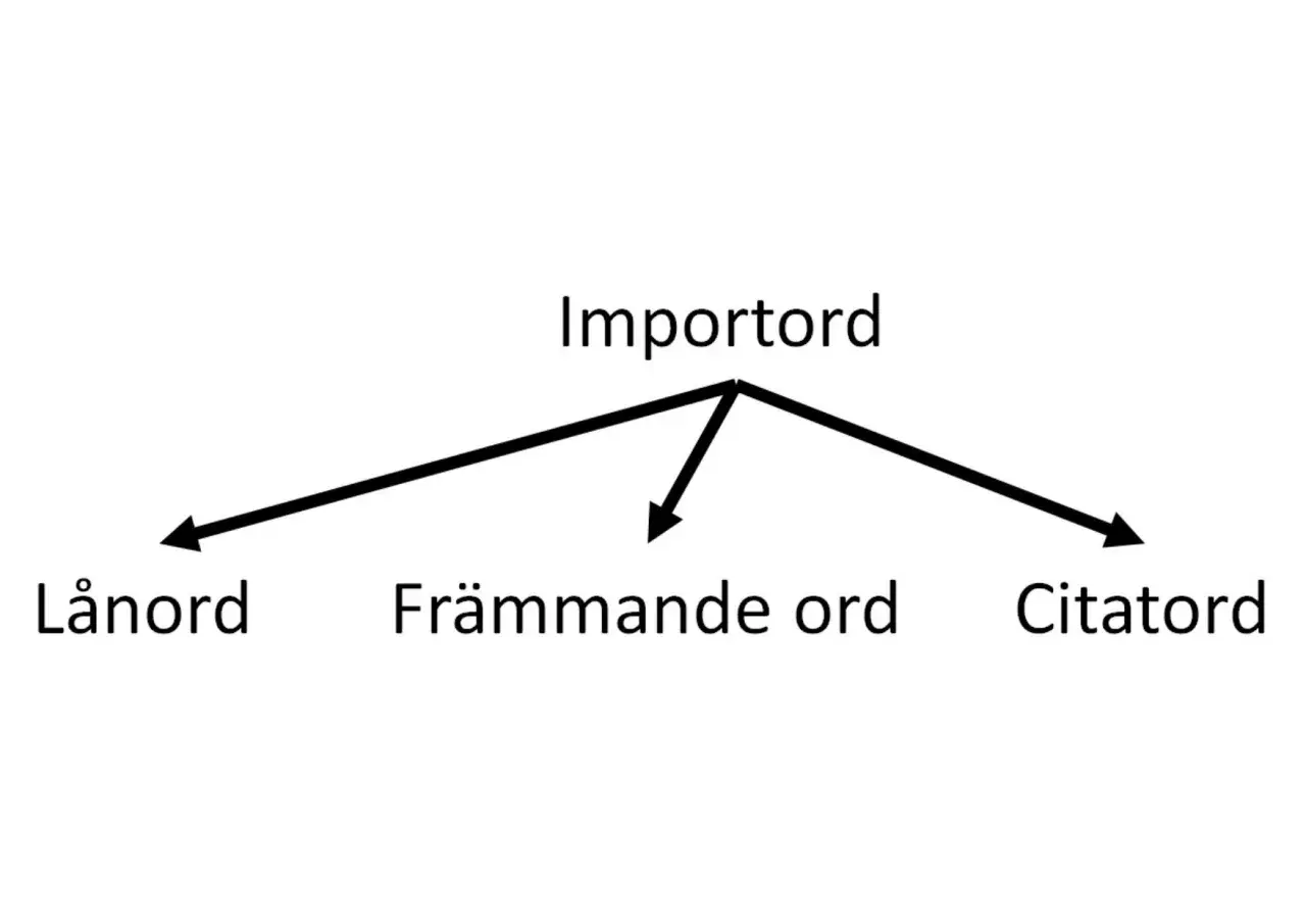 Diagram visar att "Importord" kan delas in i "Lånord", "Främmande ord" och "Citord". Dessa är alla typer av lånord synonymt.