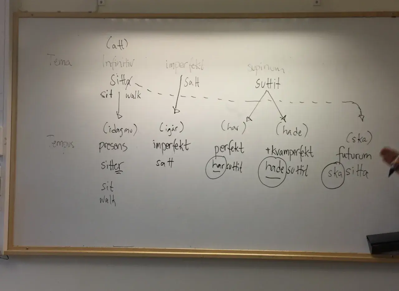 En whiteboard visar verbets tempus för "sitta". Olika former som infinitiv, imperfekt och futurum listas.