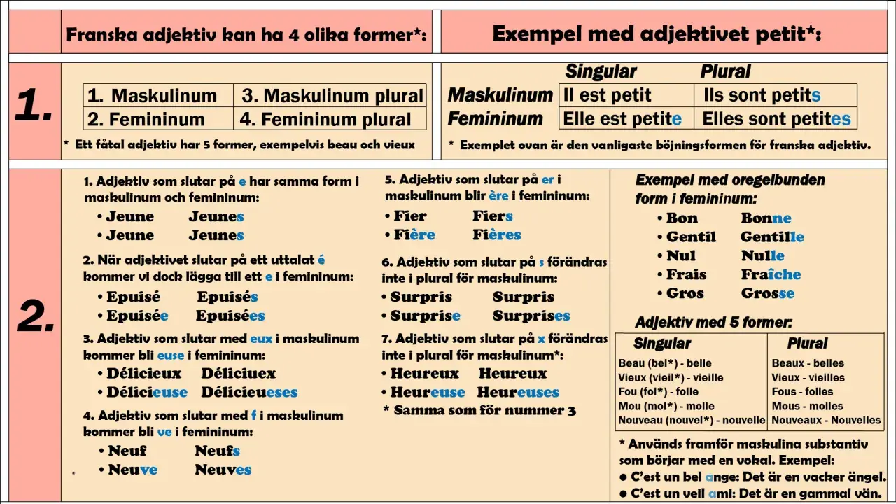 Tabellen visar hur franska adjektiv böjs. Lär dig vad betyder adjektiv och hur de ändras i genus och numerus.