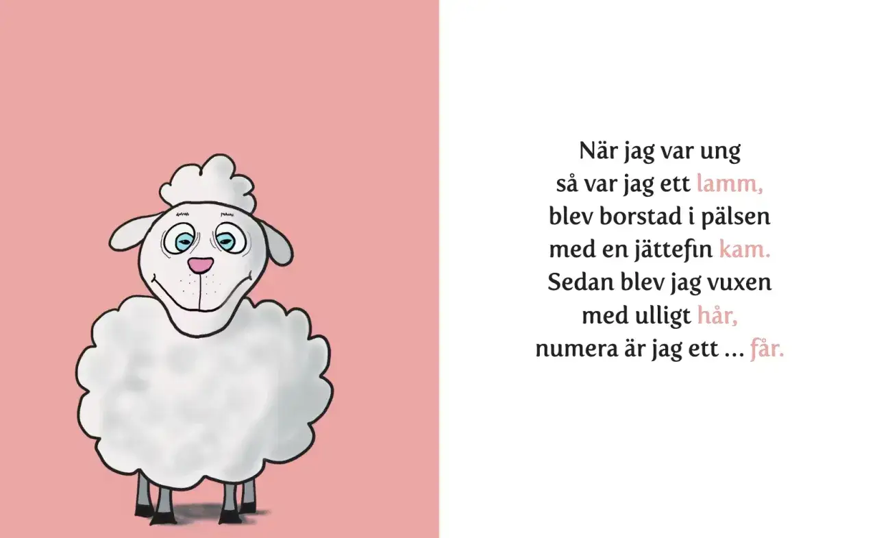 En glad f&aring;r med ullig p&auml;ls, som ber&auml;ttar om sin resa fr&aring;n lamm till f&aring;r.