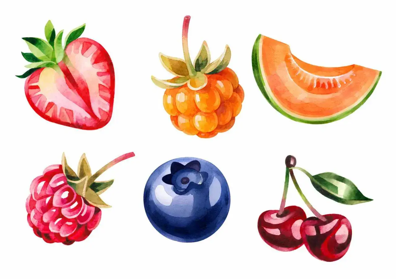 Jordgubbe, hjortron, melon, hallon, bl&aring;b&auml;r och k&ouml;rsb&auml;r. Alla frukter namn p&aring; svenska.
