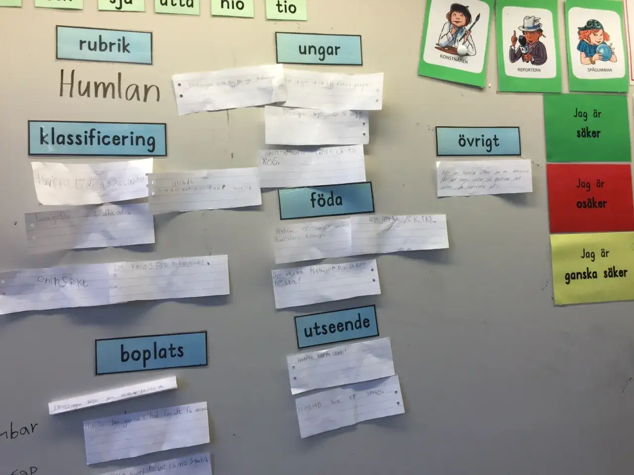 En vägg med post-it-lappar och rubriker om humlor. En faktatext exempel-samling.