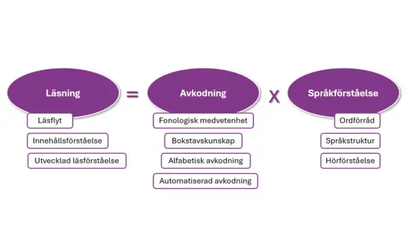 Diagram visar att läsning är avkodning gånger språkförståelse. Vad betyder texta? Det handlar om att avkoda bokstäver och ord för att förstå texten.