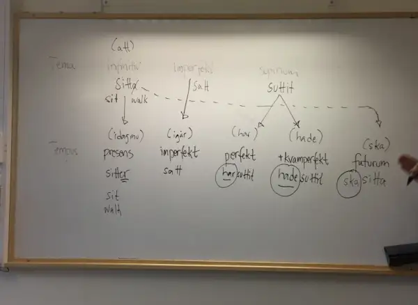 En whiteboard visar verbets tempus för "sitta". Olika former som infinitiv, imperfekt och futurum listas.